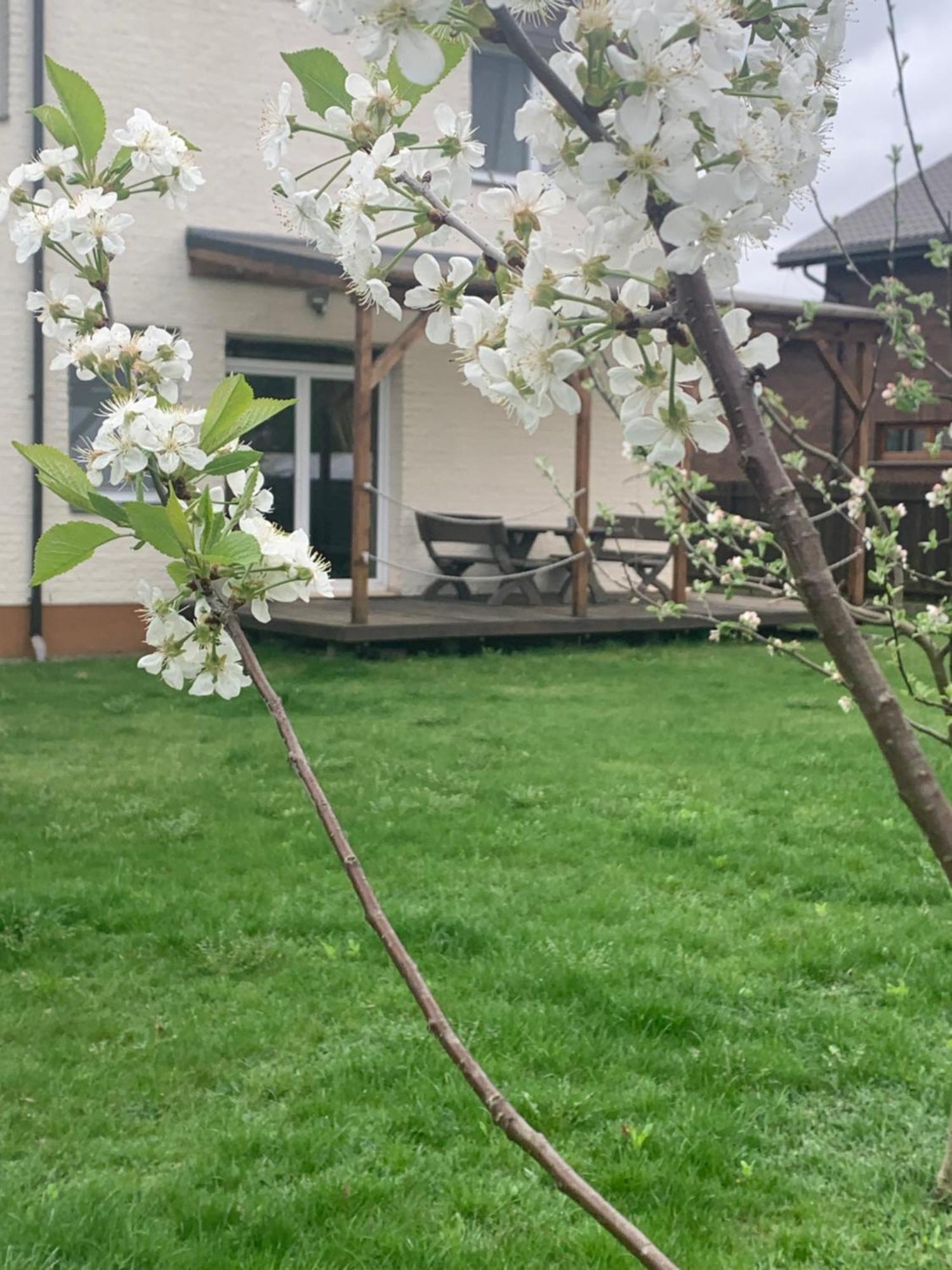 Pilaites Svetingi Namai Lägenhet VNO Exteriör bild